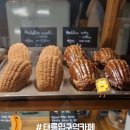 리프노즈드아쉬지