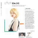 체스(CHES) 이미지