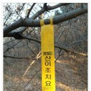 화엄사 주차장 이미지