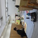 수채화(기초) 이미지