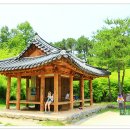 대숲속으로
