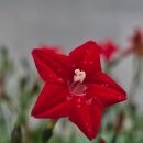 고령사회의 민낯 이미지