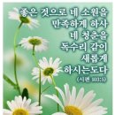 강북로 네이버블로그