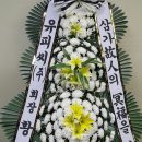 유피씨 티스토리