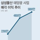 가시 태양광발전사업 뉴시스
