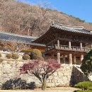 뉴 통일관광여행사
