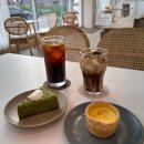 DC365강서 이미지