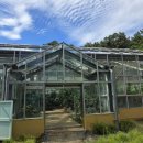 감귤박물관 위 이미지