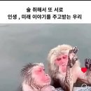 우정모텔 | 속초 갓벽한 1박2일 우정여행 (맛집, 서점투어 등)