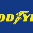 드래곤카센타 이미지