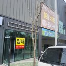 엘림데코