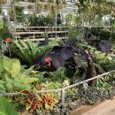 임병주농장 이미지