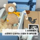인형# | 아기애착인형으로 선택한 슈테른탈러 오르골인형 후기, 수면 도움 신생아출산선물