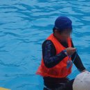 해빛태권도장 이미지