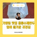 홍룡수제만두 이미지