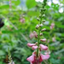 7월 정기모임 [제1부] 이미지