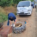 명성자동차정비공업사 이미지