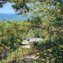 호산삼거리주유소 | 해파랑길 28코스(나곡해수욕장-호산버스정류장)와 29코스 일부(호산버스정류장-임원항)를 다녀오다.