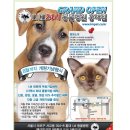 아이엠치과병원 이미지