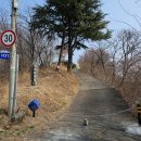 부엉덤이 Daum카페
