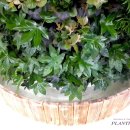 구산유치원 이미지