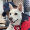 한결같은 동물병원 이미지