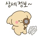 제이아이주 이미지
