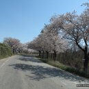 옥산3리 티스토리