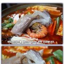 오징어와친구들 이미지
