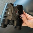 무수리마을회관 | [ 관람기 ] Giselle _ Paris Opera Ballet