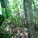 을수골감동 이미지