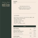 독클래스 이미지