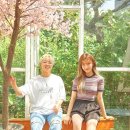 도리토리 이미지