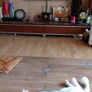 클럽밸런스5  광주진월점 이미지