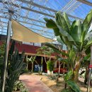 더레드하우스 베이커리카페 이미지