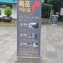 천제연 담팔수나무 | 천제연폭포와 중문성당(4.3성당)
