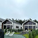 스텔라 달 마레 이미지