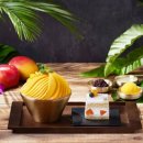 노보텔앰배서더강남 이미지