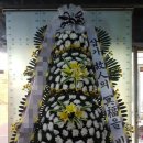 중앙성심요양병원 이미지