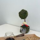 서두물로35번길 이미지