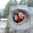 우리두리농장 이미지