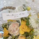 예지원요양병원 | 광명동꽃집 꽃집, 조이 가격 위치 영업시간