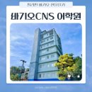 CNS빌딩 | 미취학 7세아이 필리핀 한달살기,어학연수 (5) 바기오 CNS 어학원 시설