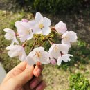 미추홀공원 (옥외1) | 인천 송도 공원 추천 BEST 3｜솔찬·미추홀·해돋이 직접 다녀온 후기