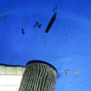 쌍용카포스 이미지