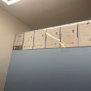 오늘뿐이개 이미지