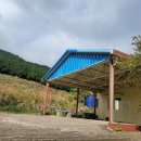 구좌공설묘지 이미지