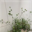 새로운치과기공소 이미지