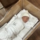 sk산후조리원 이미지