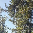 천지인 태양광발전소 이미지